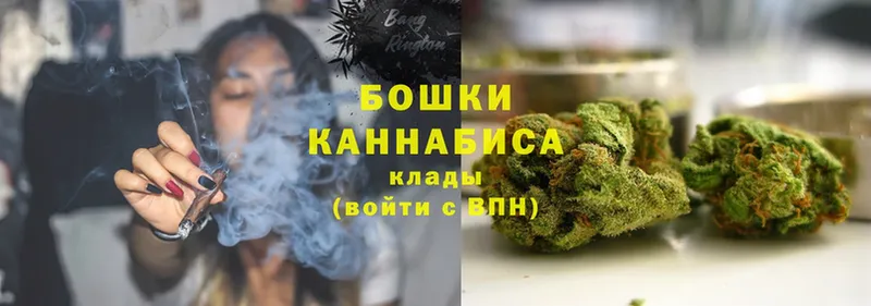 Канабис OG Kush  Солигалич 